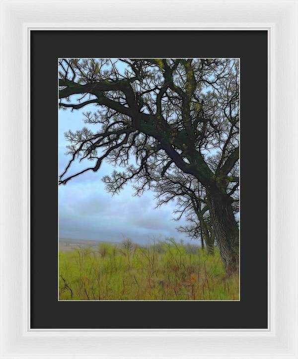 Spring Tree Buds - Framed Print