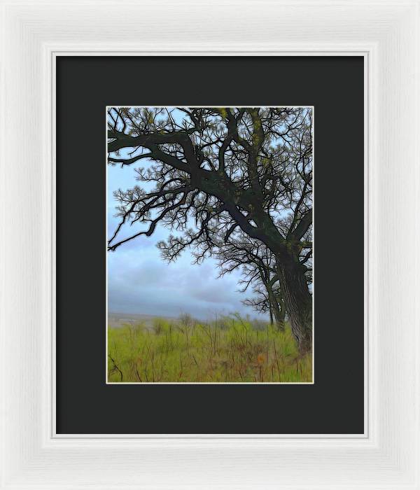 Spring Tree Buds - Framed Print