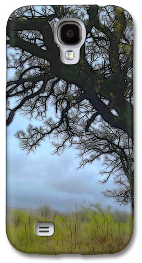 Spring Tree Buds - Phone Case