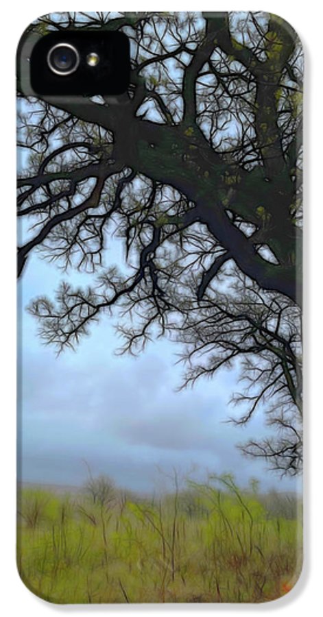 Spring Tree Buds - Phone Case