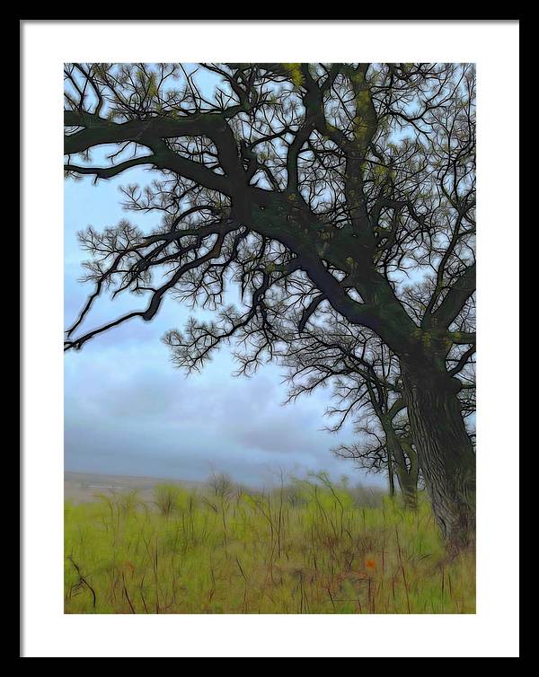 Spring Tree Buds - Framed Print