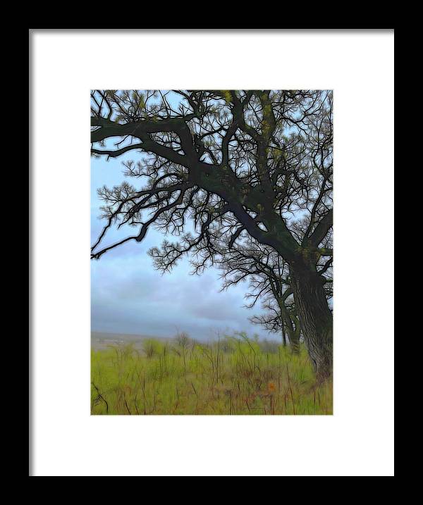 Spring Tree Buds - Framed Print