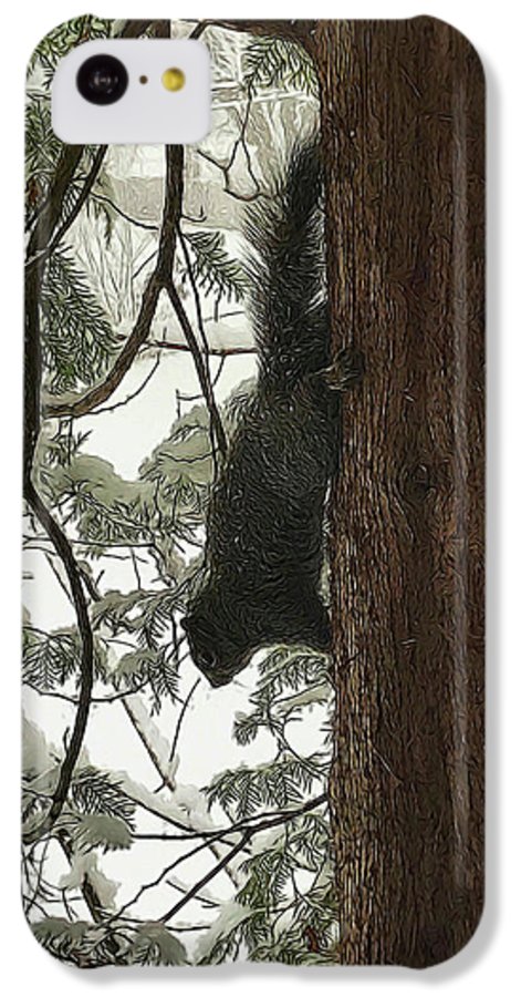 Squirrel on a Snowy Tree - Phone Case