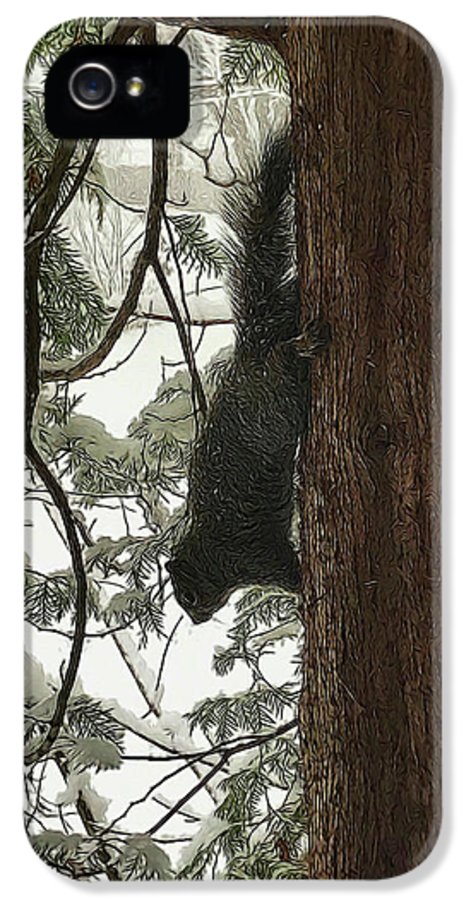 Squirrel on a Snowy Tree - Phone Case