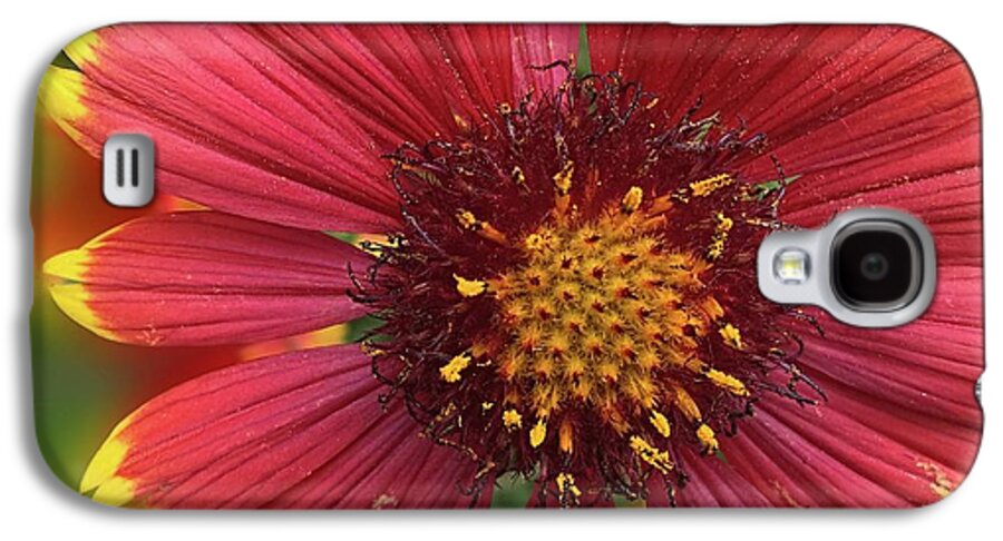 Sunburst Flower Close Up - Phone Case
