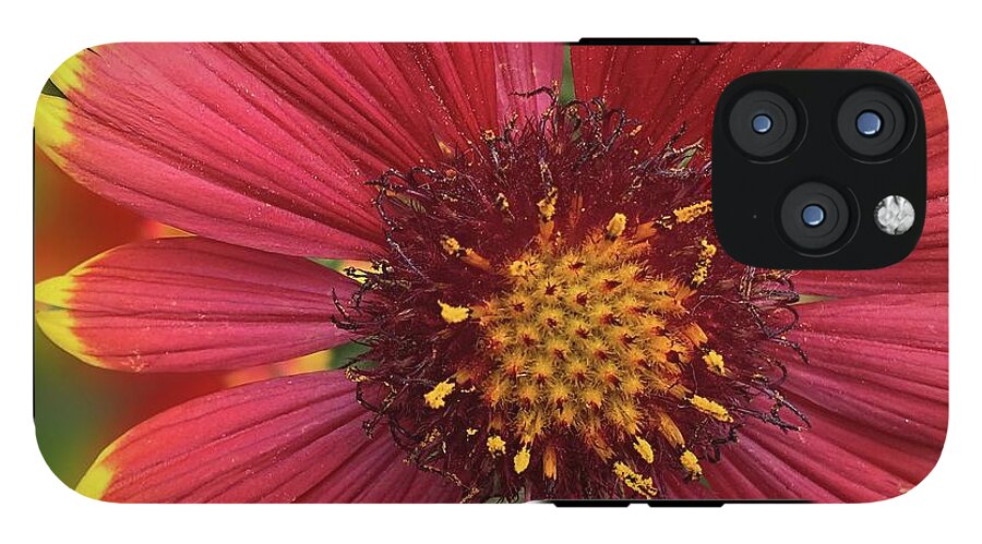 Sunburst Flower Close Up - Phone Case