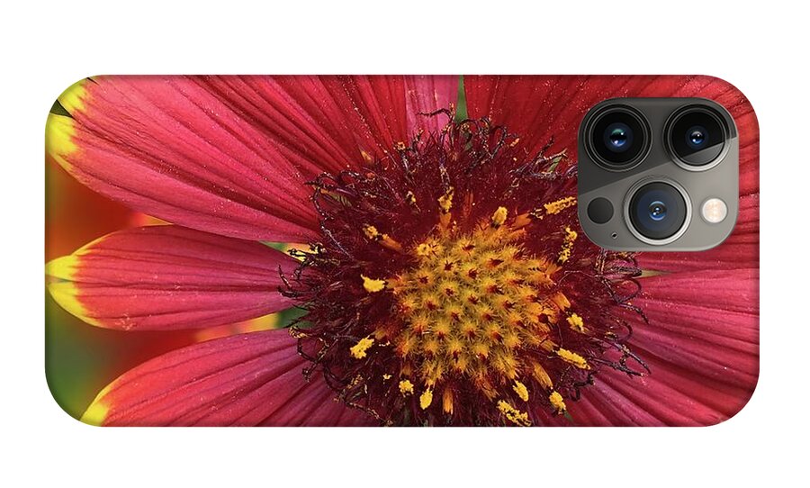 Sunburst Flower Close Up - Phone Case
