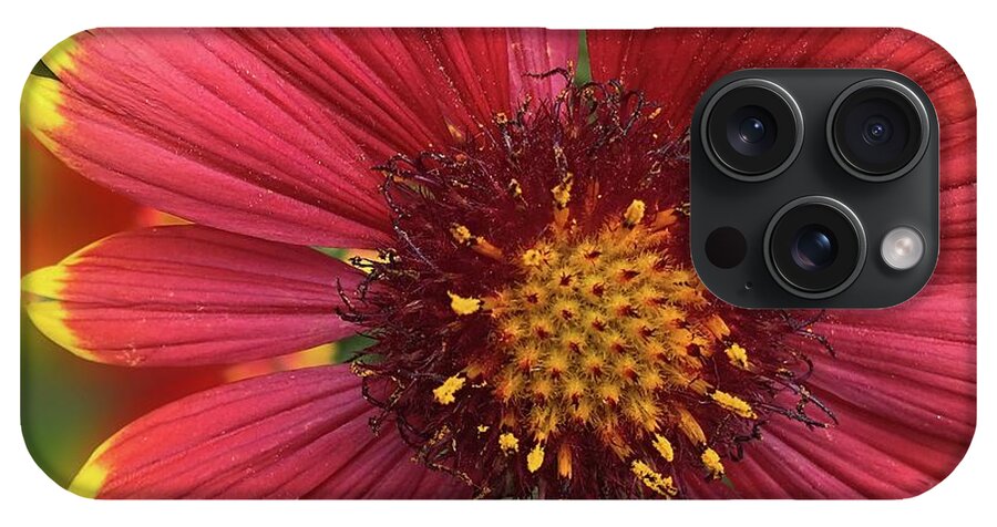 Sunburst Flower Close Up - Phone Case