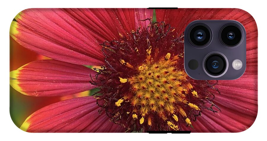 Sunburst Flower Close Up - Phone Case