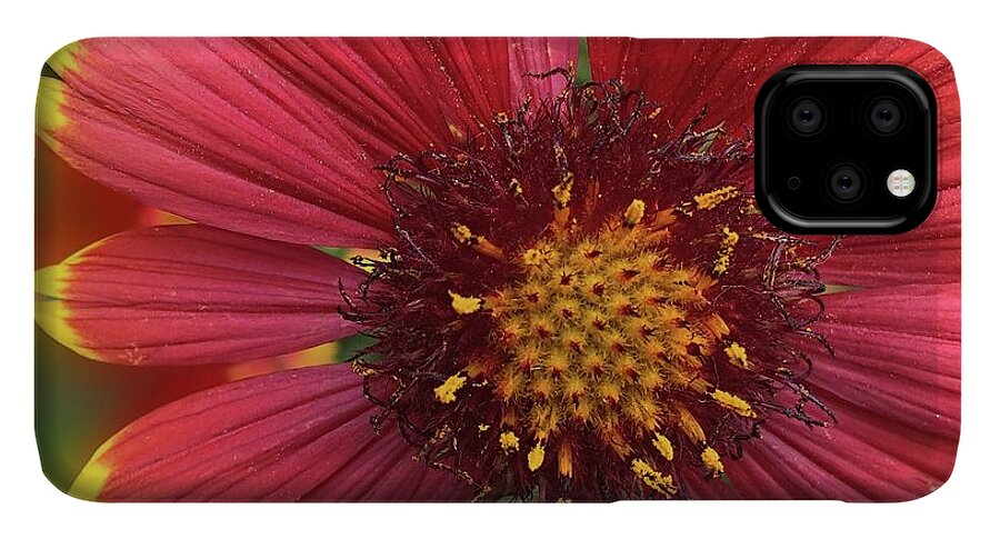Sunburst Flower Close Up - Phone Case