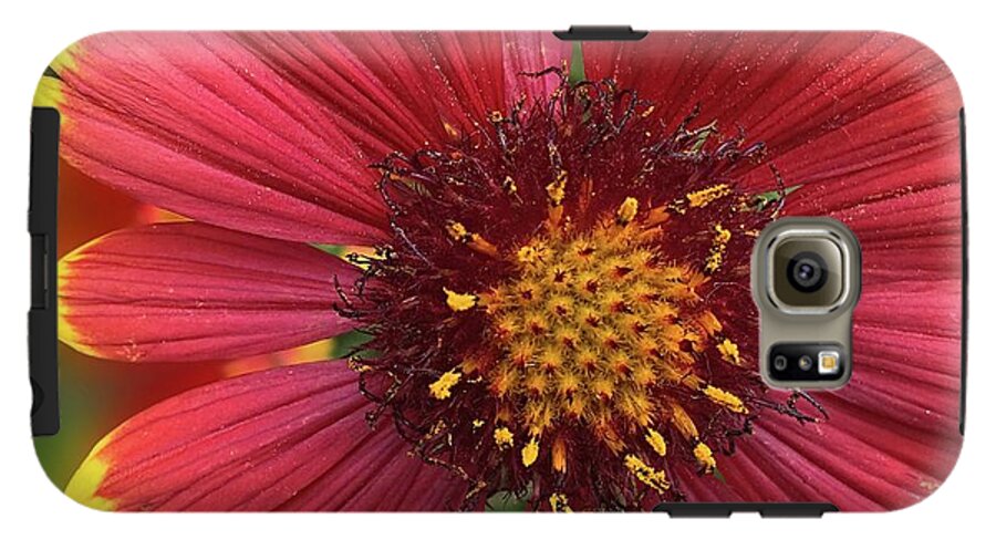 Sunburst Flower Close Up - Phone Case