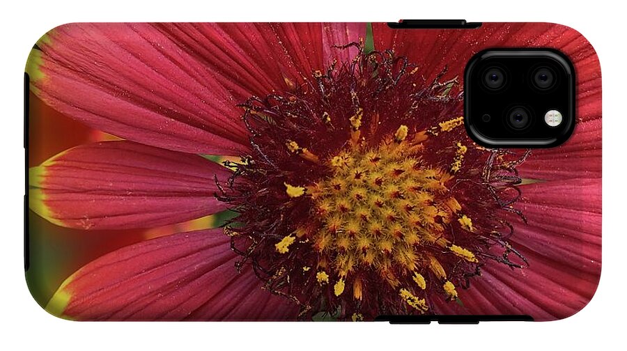 Sunburst Flower Close Up - Phone Case