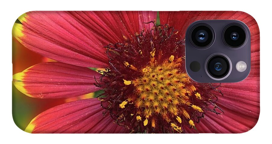 Sunburst Flower Close Up - Phone Case