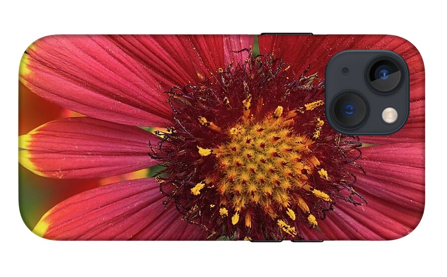 Sunburst Flower Close Up - Phone Case