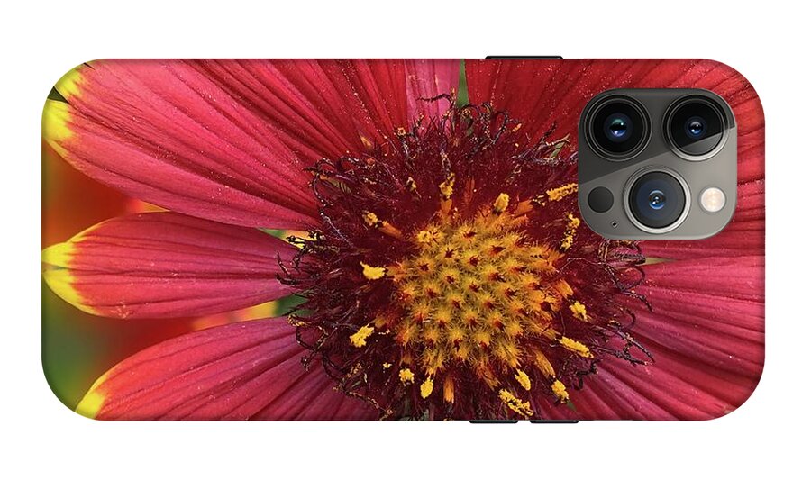 Sunburst Flower Close Up - Phone Case
