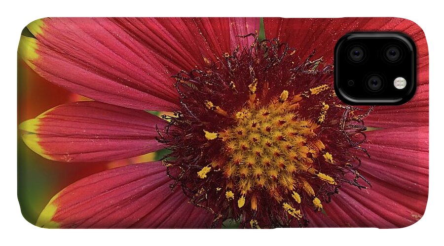 Sunburst Flower Close Up - Phone Case