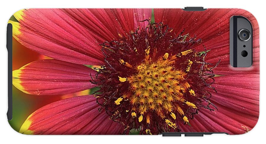 Sunburst Flower Close Up - Phone Case
