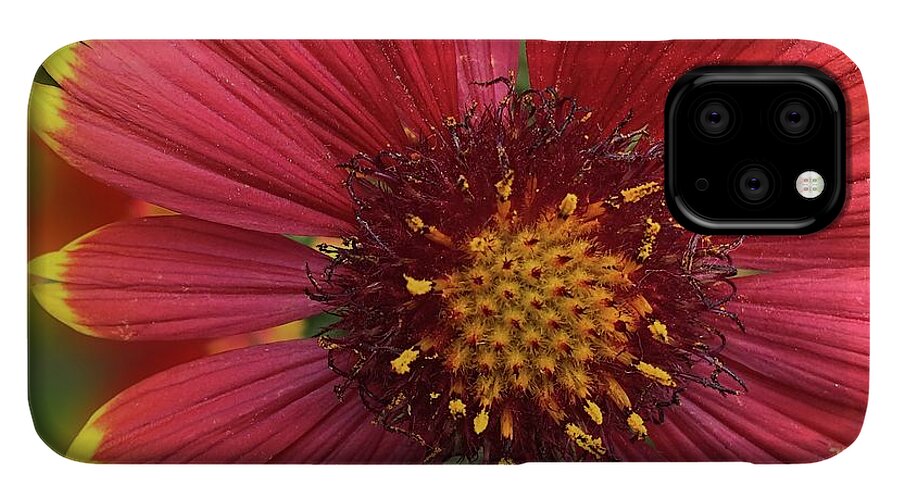 Sunburst Flower Close Up - Phone Case