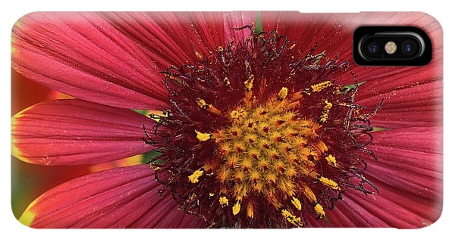 Sunburst Flower Close Up - Phone Case