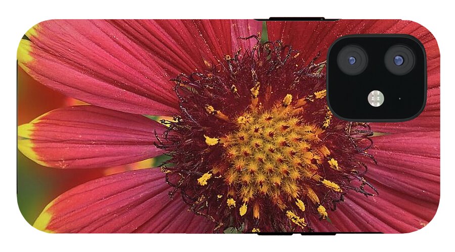 Sunburst Flower Close Up - Phone Case