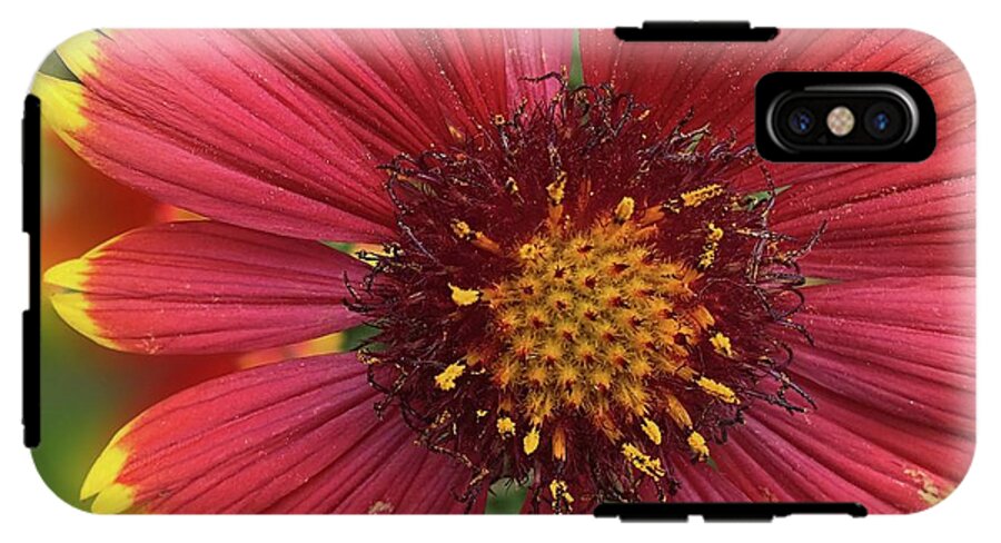Sunburst Flower Close Up - Phone Case