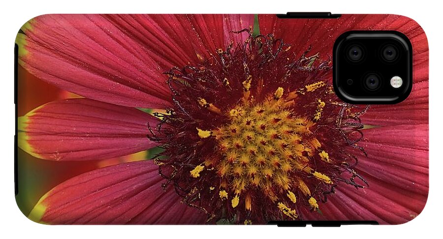 Sunburst Flower Close Up - Phone Case