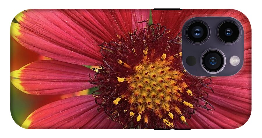 Sunburst Flower Close Up - Phone Case