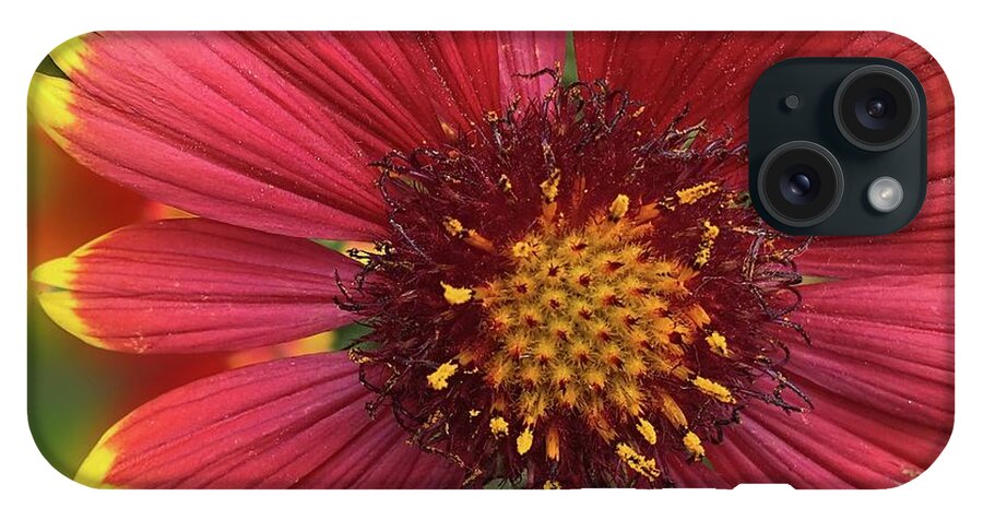 Sunburst Flower Close Up - Phone Case
