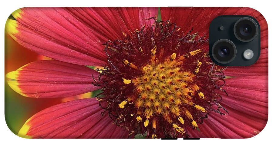 Sunburst Flower Close Up - Phone Case