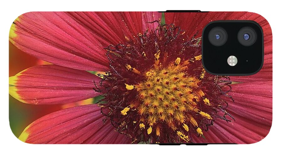Sunburst Flower Close Up - Phone Case