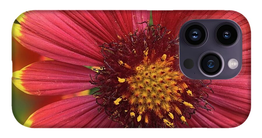 Sunburst Flower Close Up - Phone Case