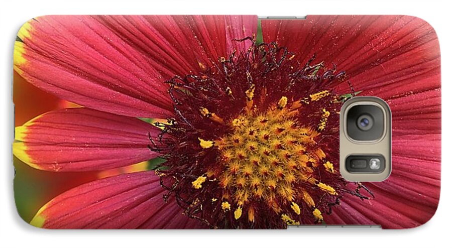 Sunburst Flower Close Up - Phone Case