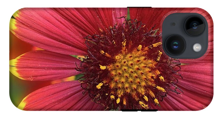 Sunburst Flower Close Up - Phone Case