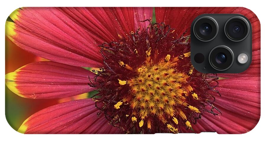 Sunburst Flower Close Up - Phone Case