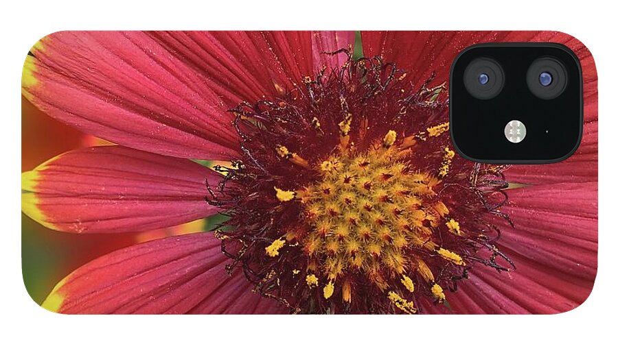 Sunburst Flower Close Up - Phone Case