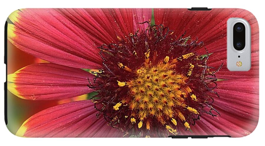 Sunburst Flower Close Up - Phone Case