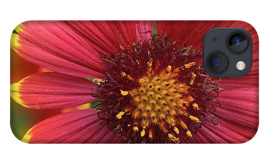 Sunburst Flower Close Up - Phone Case