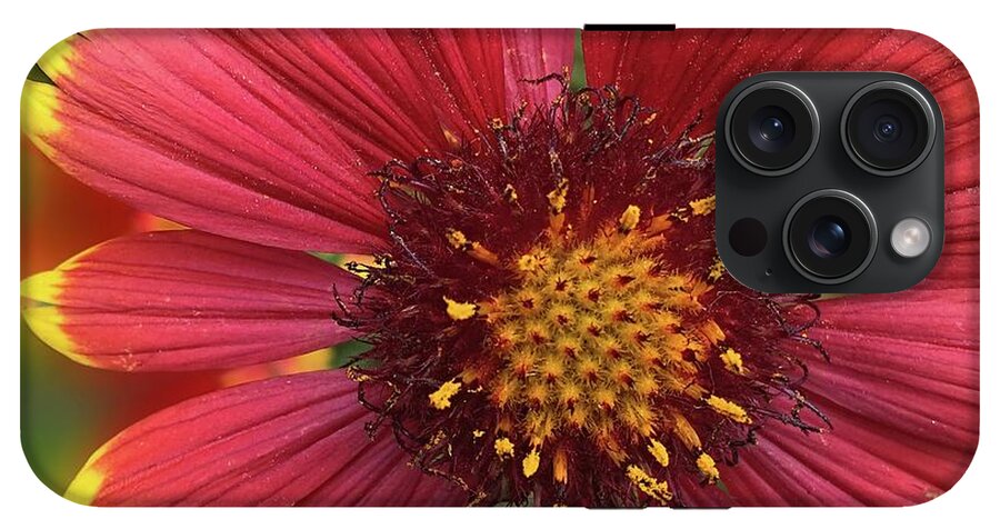 Sunburst Flower Close Up - Phone Case