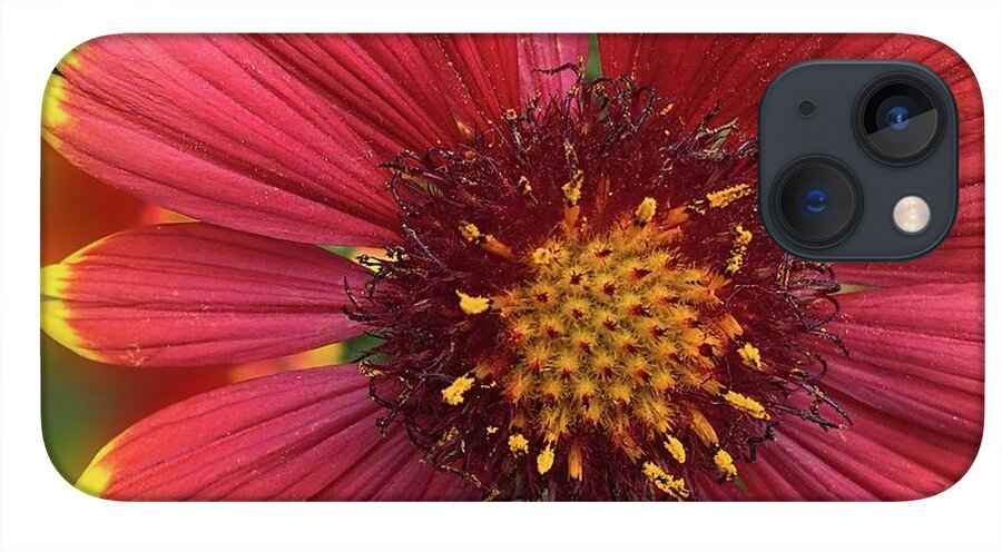 Sunburst Flower Close Up - Phone Case