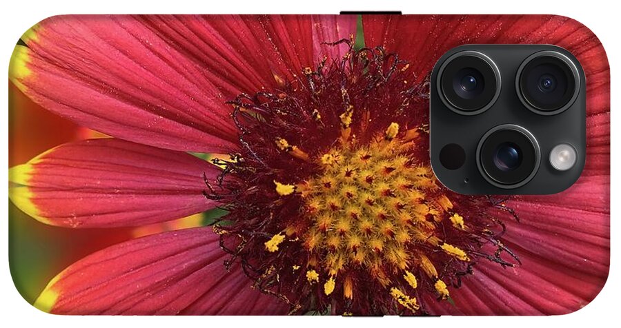 Sunburst Flower Close Up - Phone Case