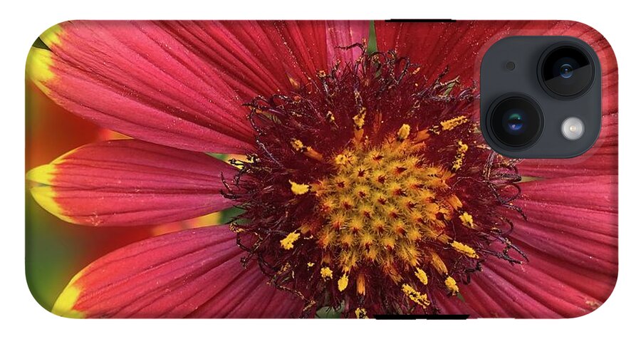 Sunburst Flower Close Up - Phone Case