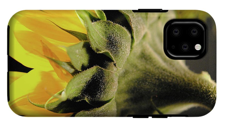 Sunflower Back - Phone Case