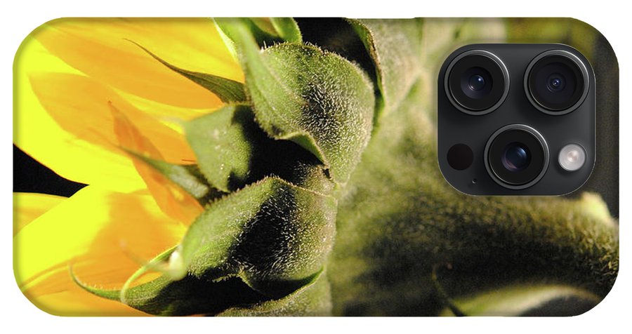 Sunflower Back - Phone Case