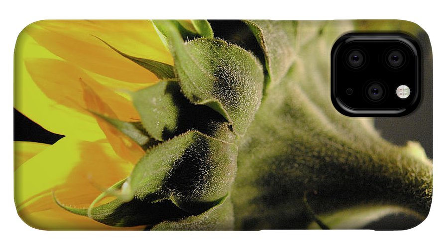 Sunflower Back - Phone Case