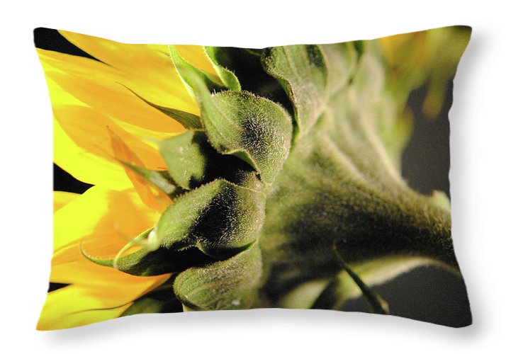 Sunflower Back - Throw Pillow