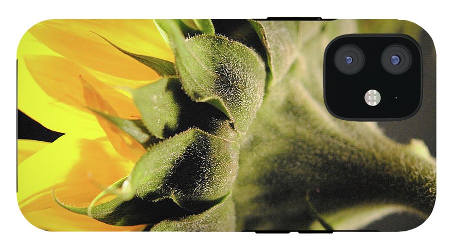 Sunflower Back - Phone Case