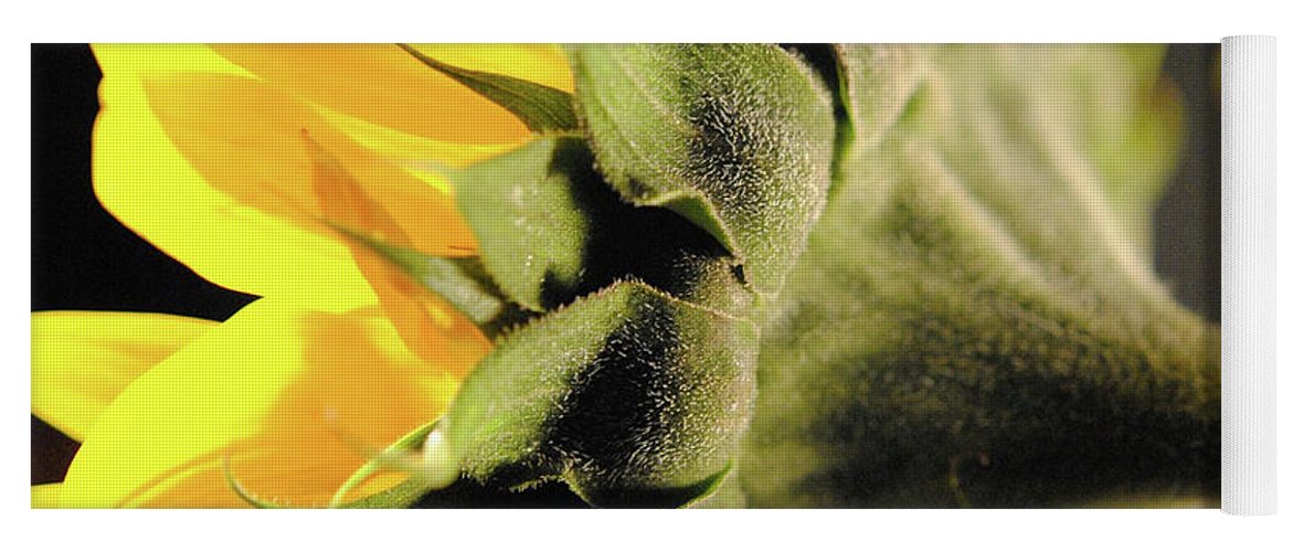 Sunflower Back - Yoga Mat