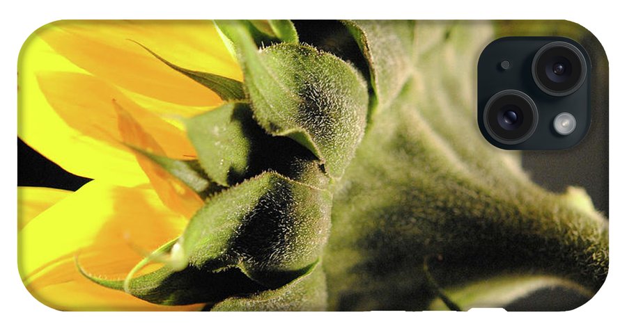 Sunflower Back - Phone Case