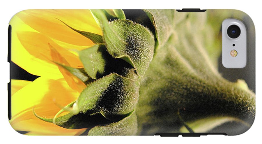 Sunflower Back - Phone Case