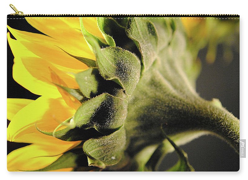 Sunflower Back - Carry-All Pouch